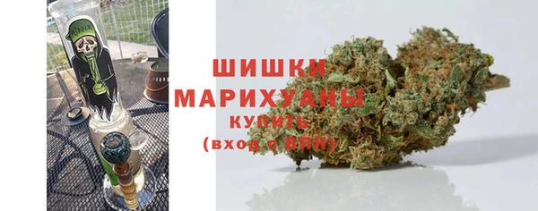 дживик Краснослободск