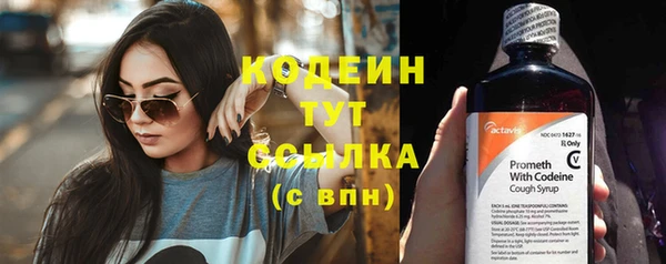 дживик Краснослободск