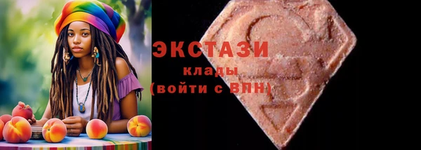 дживик Краснослободск