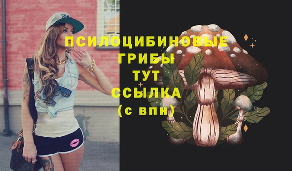 дживик Краснослободск